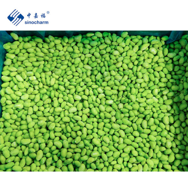 IQF Frozen Edamame Kernels - Image 3