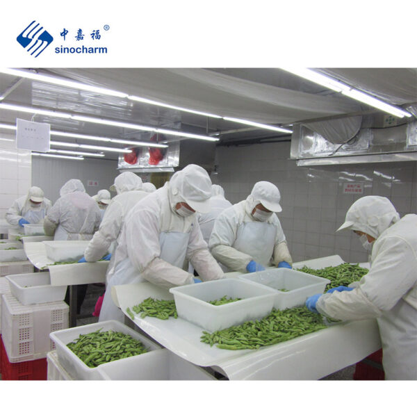 IQF Frozen Tri-Kernels Edamame - Image 3
