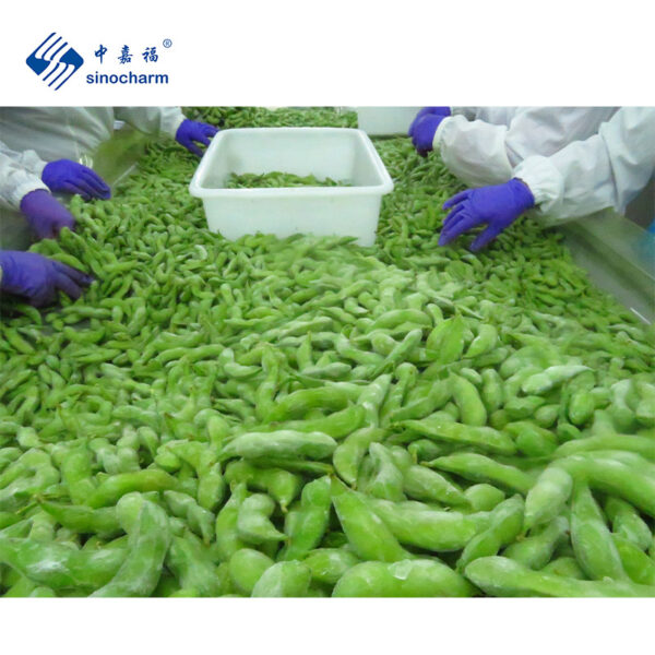 Frozen Glazing Edamame - Image 3